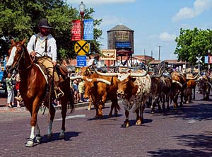 Fort Worth attorneys fighting for your rights